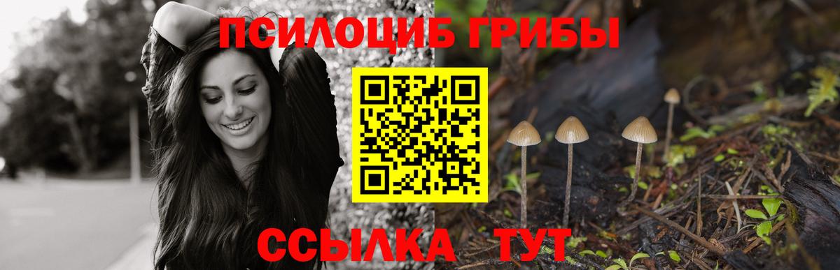 закладки  Псилоцибиновые грибы Cubensis  Вход с VPN  Джанкой 
